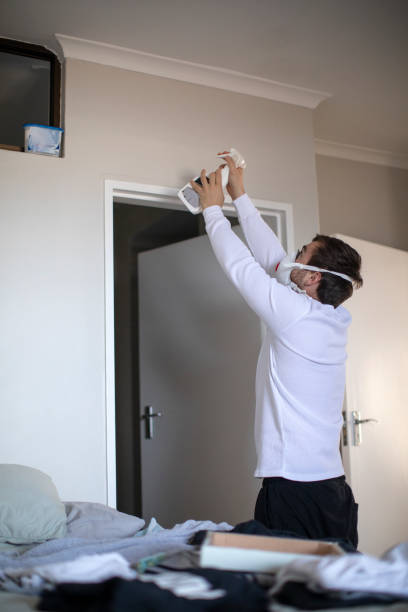 Best Emergency Mold Remediation  in Ontonagon, MI
