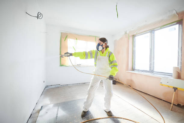Best Crawl Space Mold Remediation  in Ontonagon, MI