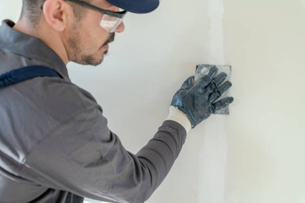 Professional Mold Removal in Ontonagon, MI