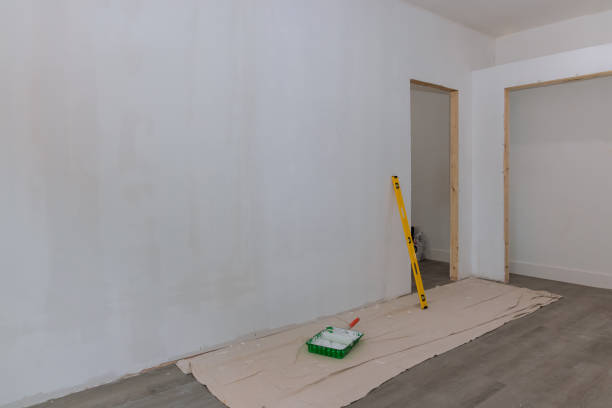 Trusted Ontonagon, MI Mold Removal Experts